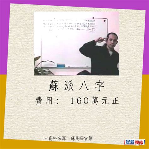 蘇民峰收費|蘇民峰私人教風水開價300萬 「天價學費」最終有無人。